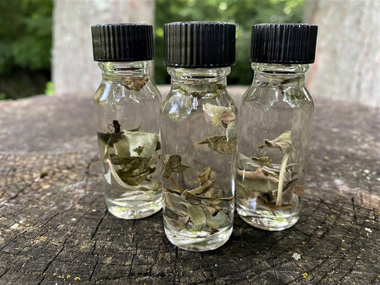 WHITE SAGE Essential Oil Dilute